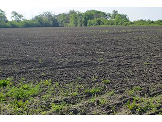 Property photo 28 - LAND AUCTION - 215+/- ACRES OFFERED IN 6 TRACTS IN VAN WERT COUNTY, OHIO